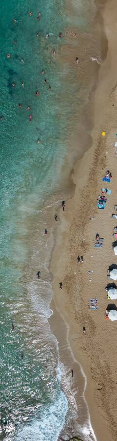 Venus Beach