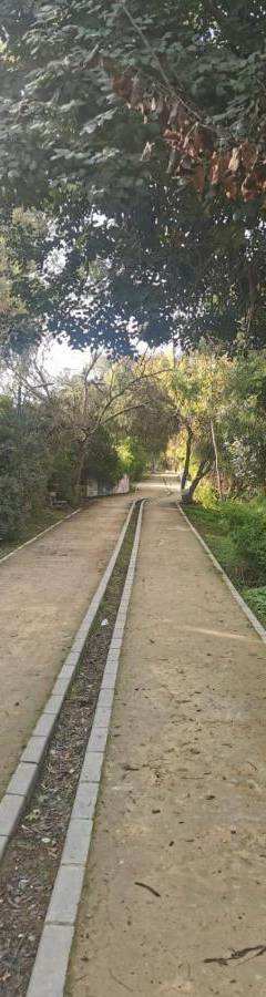an empty road with trees on both sides at Theo 202 - Cozy 2 Bdr Nicosia Free Parking &amp; Wi-Fi in Nicosia