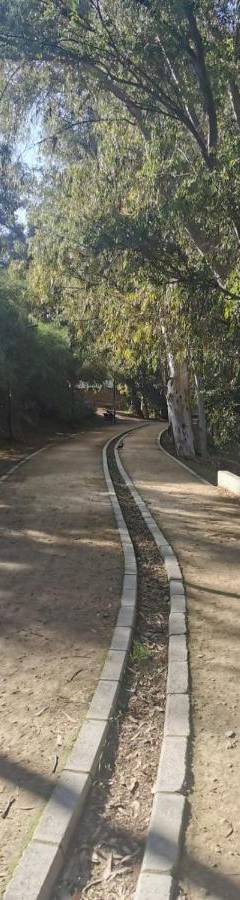 an empty road with trees on the side of it at Theo 202 - Cozy 2 Bdr Nicosia Free Parking &amp; Wi-Fi in Nicosia