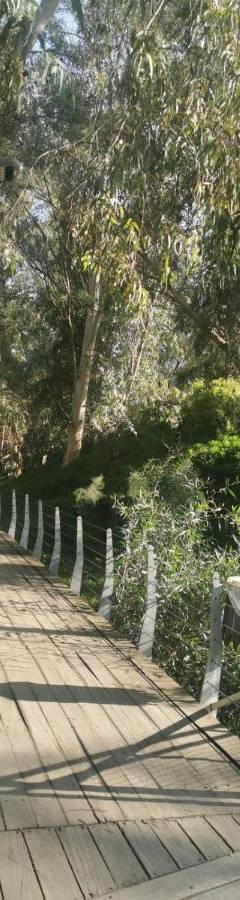 a wooden walkway with a blue sign on it at Theo 202 - Cozy 2 Bdr Nicosia Free Parking &amp; Wi-Fi in Nicosia