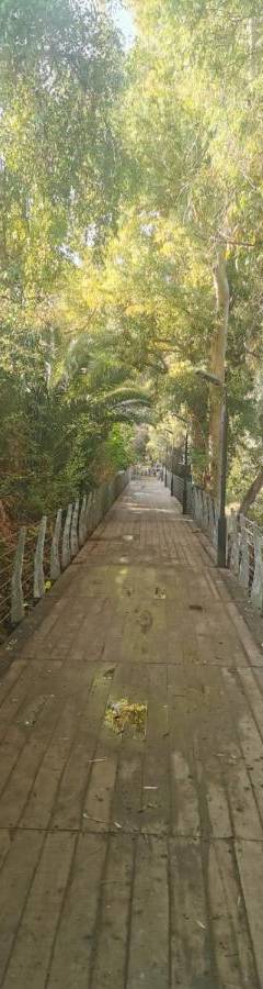 a wooden path in a park with trees and a fence at Theo 202 - Cozy 2 Bdr Nicosia Free Parking &amp; Wi-Fi in Nicosia