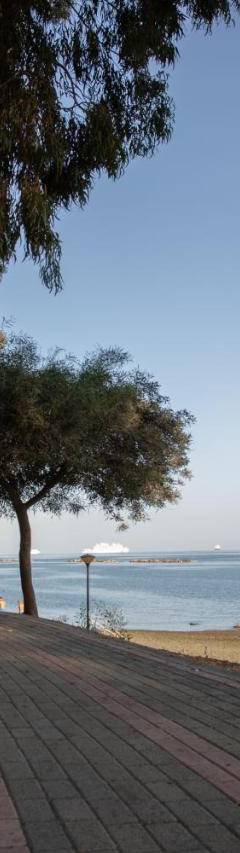 a sidewalk next to a beach with two trees at Mayra Seafront Luxury Apartment (BREAKBOOKING-CY) in Limassol