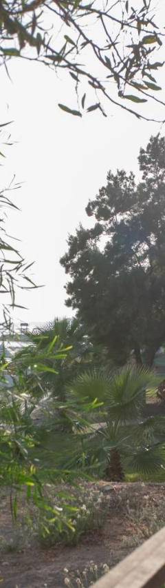 a wooden bridge over a walk way with trees at Mayra Seafront Luxury Apartment (BREAKBOOKING-CY) in Limassol