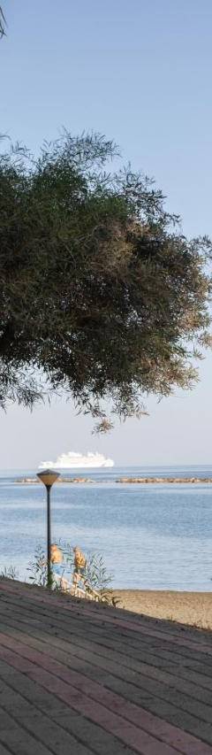 a walkway next to a beach with a tree at Mayra Seafront Luxury Apartment (BREAKBOOKING-CY) in Limassol