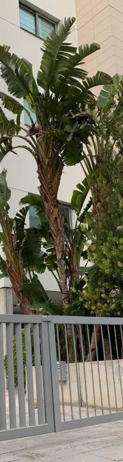 a white fence in front of a building at Glabur Stays - The Nicosia Elite - Exceptional Top Floor Apartment Nicosia City, Welcomes U!!! in Nicosia