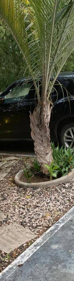 a car parked in a parking lot with a palm tree at Glabur Stays - The Nicosia Elite - Exceptional Top Floor Apartment Nicosia City, Welcomes U!!! in Nicosia