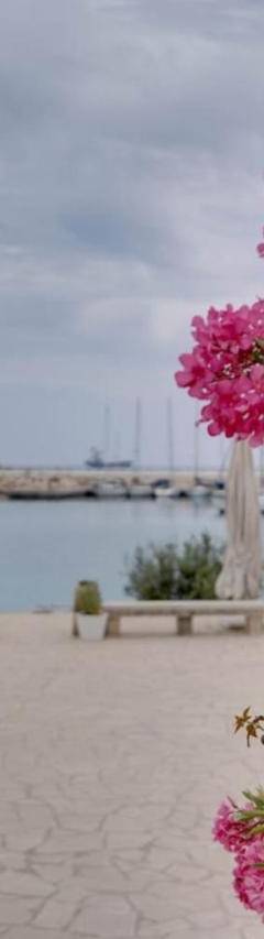 a bunch of pink flowers next to a body of water at Glabur Stays! The One -1 - Elite Marina Front! in Zygi