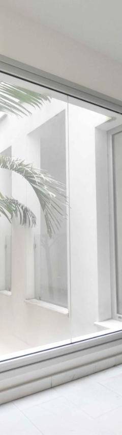 a large window in a room with a palm tree at Glabur Stays - The Amazing 1 BDR - Executive apt Nicosia Center Free Parking &amp; WiFi in Nicosia