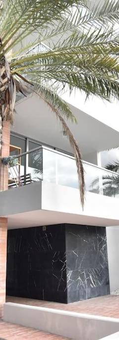 a palm tree in front of a building at Glabur Stays - The Amazing 1 BDR - Executive apt Nicosia Center Free Parking &amp; WiFi in Nicosia