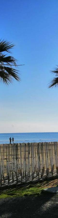 two palm trees on a beach next to the ocean at Ithaki Phinikoudes Apartment No. 105 in Larnaka
