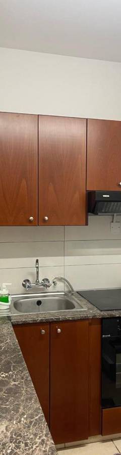 a kitchen with wooden cabinets and a sink at Alex Beach Apartment 31 in Larnaka