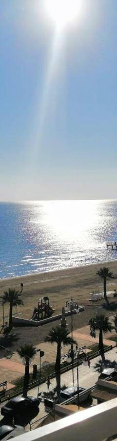 a view of a beach with palm trees and the ocean at Alex Beach Apartment 33 in Larnaka