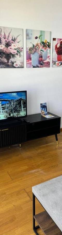 a living room with a flat screen tv on a table at Ithaki Phinikoudes Apartment No. 205 in Larnaka